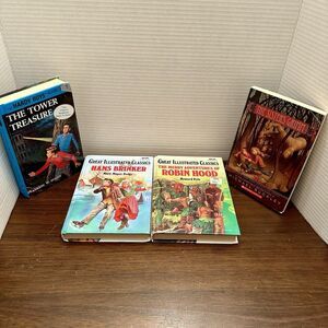 Lot 4 Great Illustrated Classics Hardy Boys Sister Grim HC & PB Robin Hood Hans